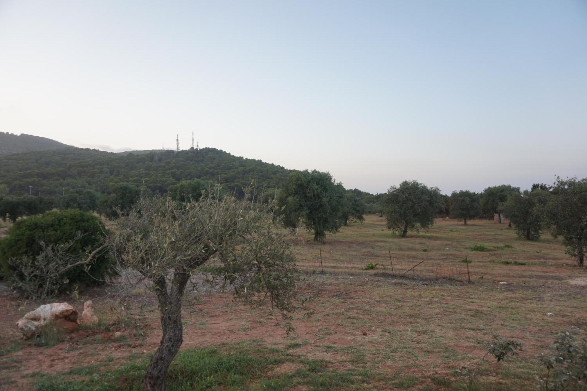 Bombarde Natural House Alghero Esterno foto